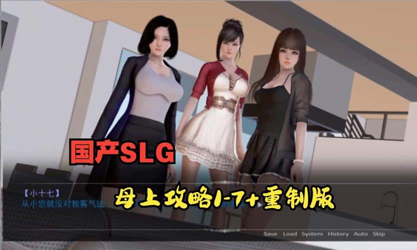 母上攻略游戏封面